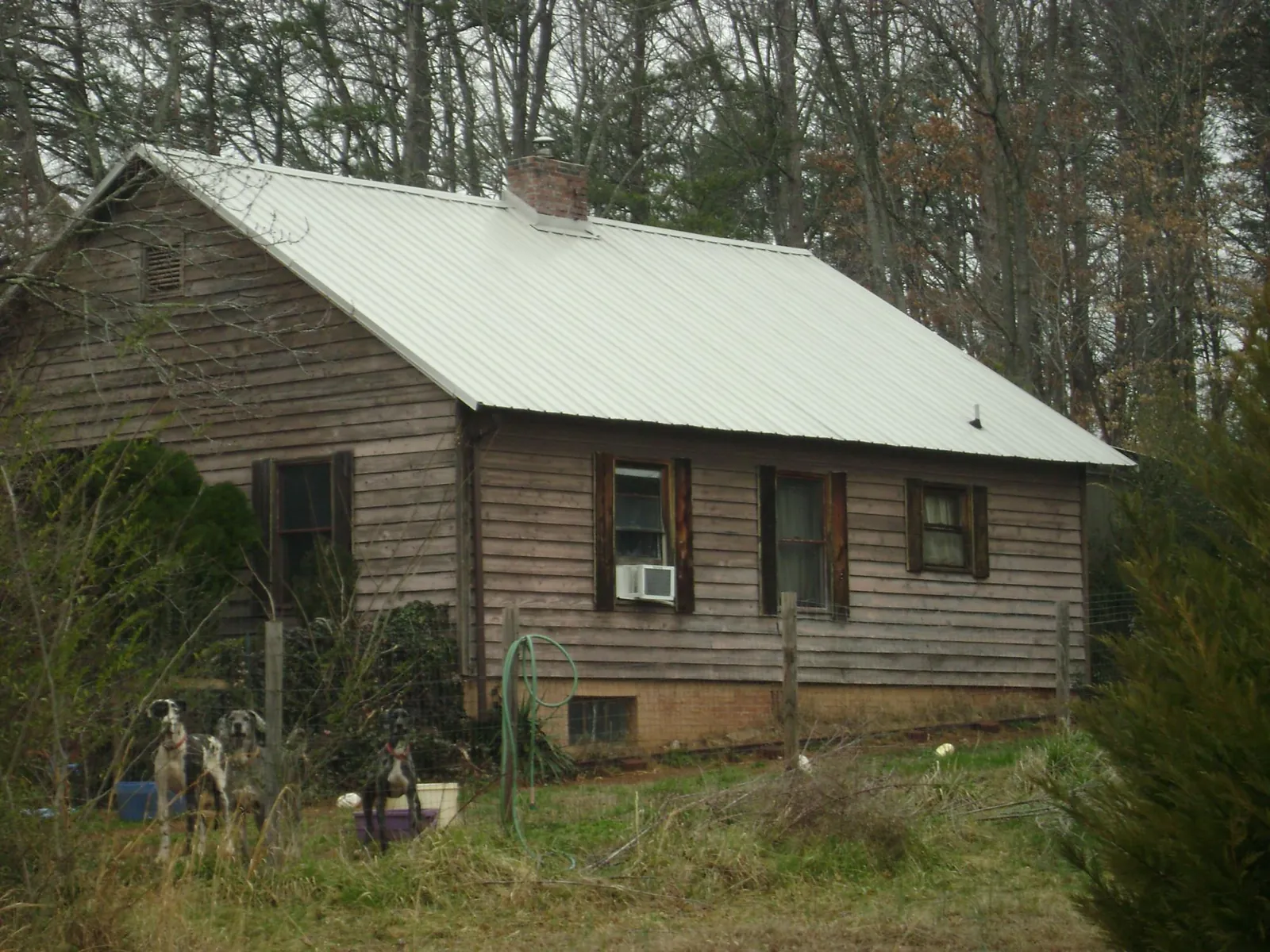 White metal roof on an old wood sided farmhouse, from a Asphalt Shingle Roof Repair job in Great Cacapon